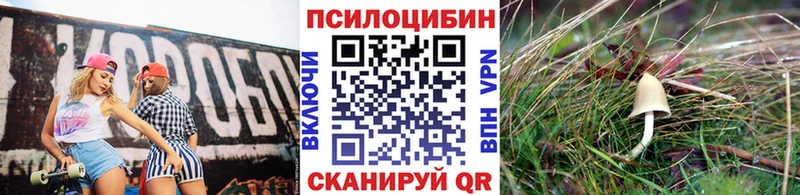 Галлюциногенные грибы прущие грибы  blacksprut   Таганрог  купить наркотики цена 